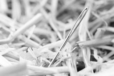 Can Your Target Audience Find You?